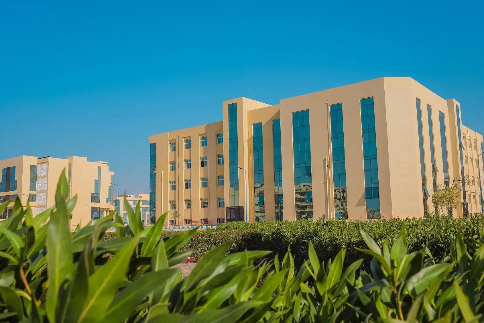 Arish University